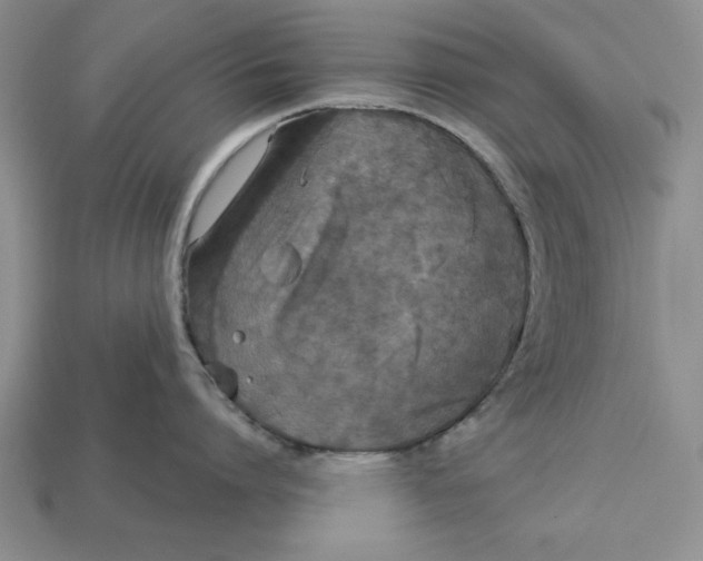 X0000112910864200909211030