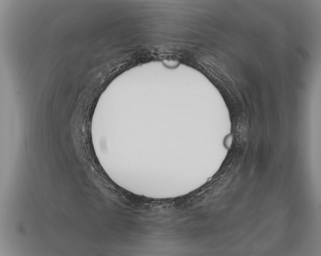 X0000112910865200909211029