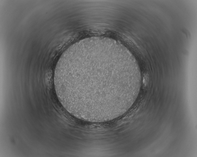 X0000112910867200909211029