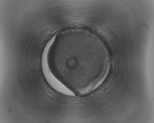 X0000112910868200909211029