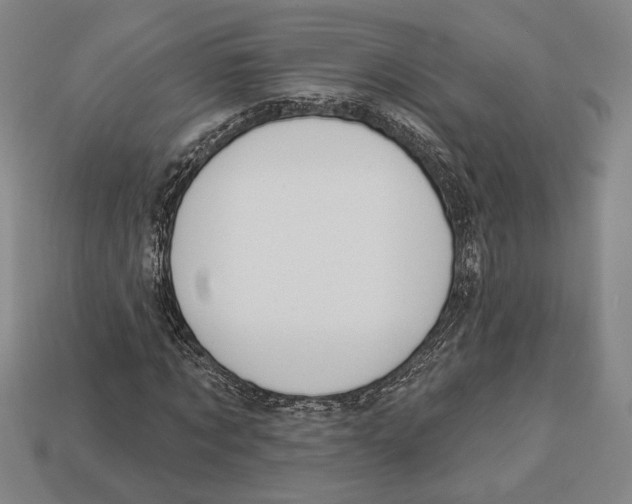 X0000112910869200909211029