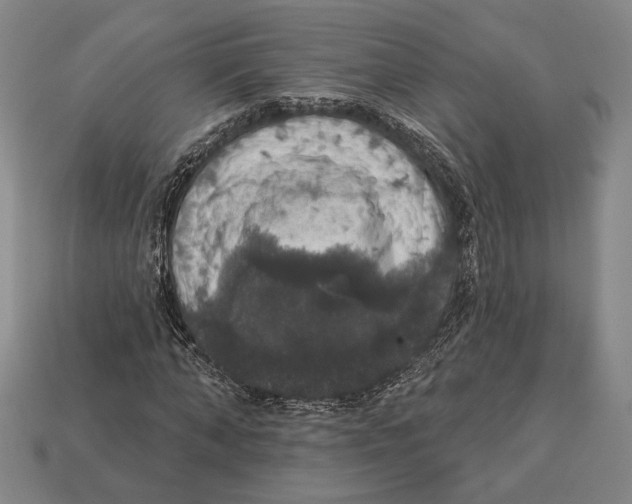 X0000112910870200909211029