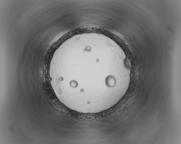 X0000112910871200909211029