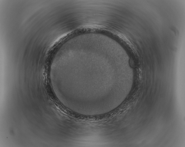 X0000112910872200909211029