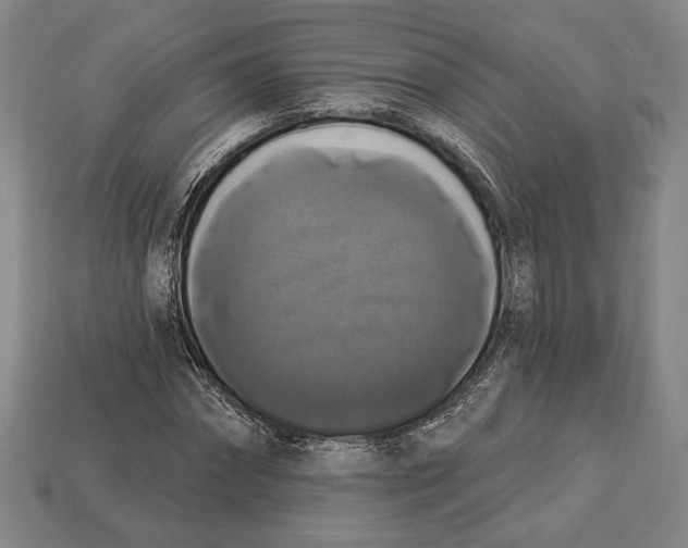 X0000112910874200909211029