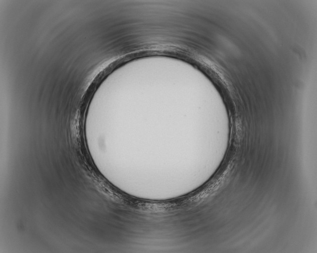 X0000112910875200909211029