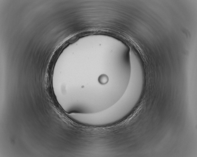 X0000112910876200909211029