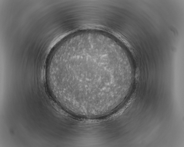 X0000112910877200909211029