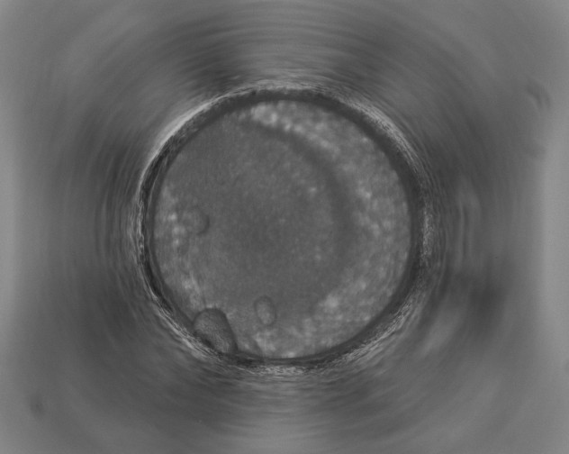 X0000112910878200909211029