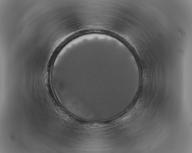 X0000112910879200909211029