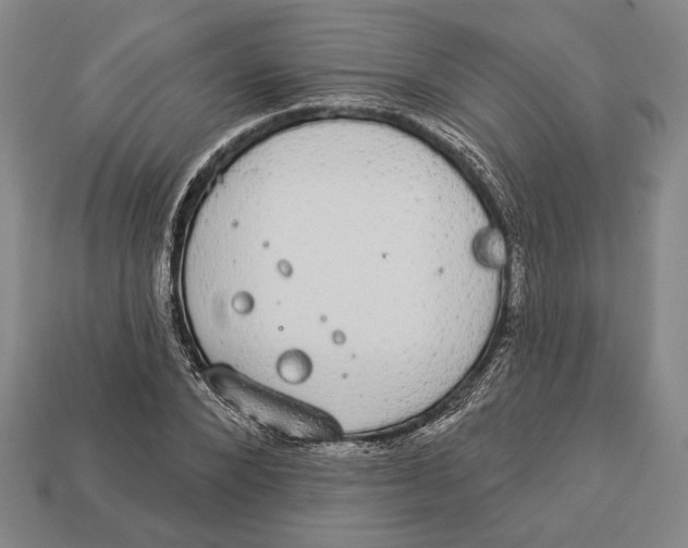 X0000112910880200909211029