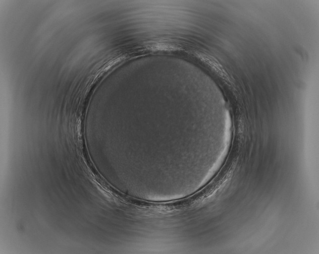 X0000112910881200909211029