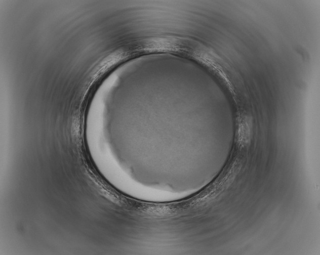 X0000112910882200909211029