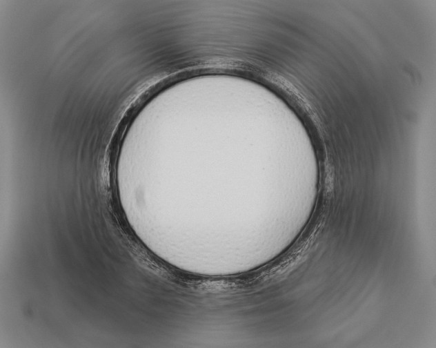 X0000112910883200909211029