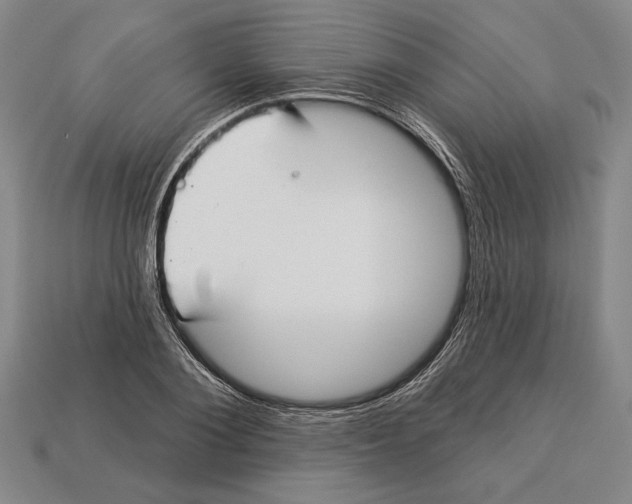 X0000112910884200909211029