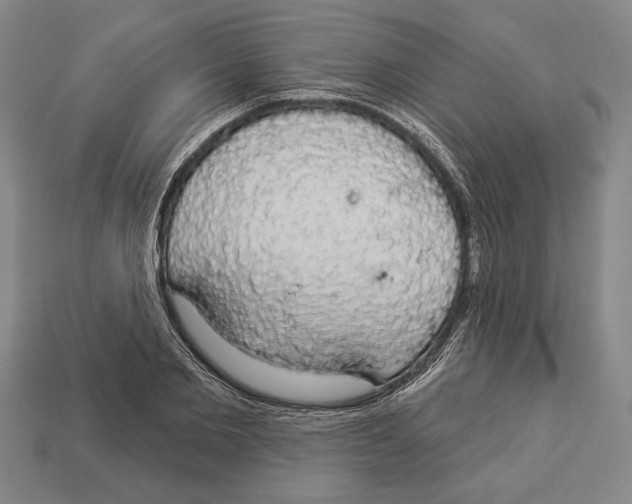 X0000112910885200909211029