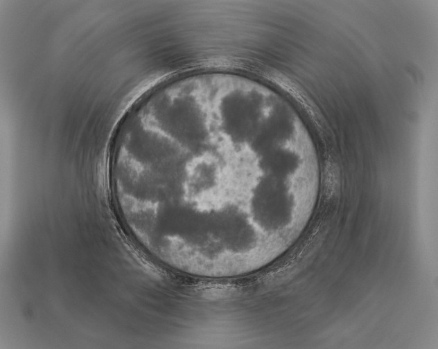 X0000112910886200909211029