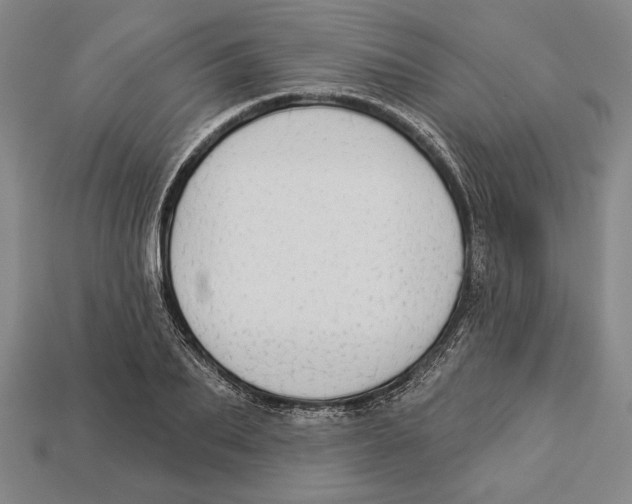 X0000112910887200909211029