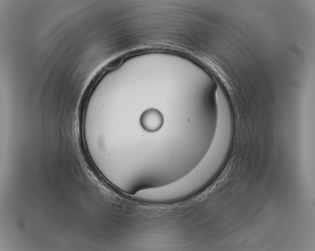 X0000112910888200909211029