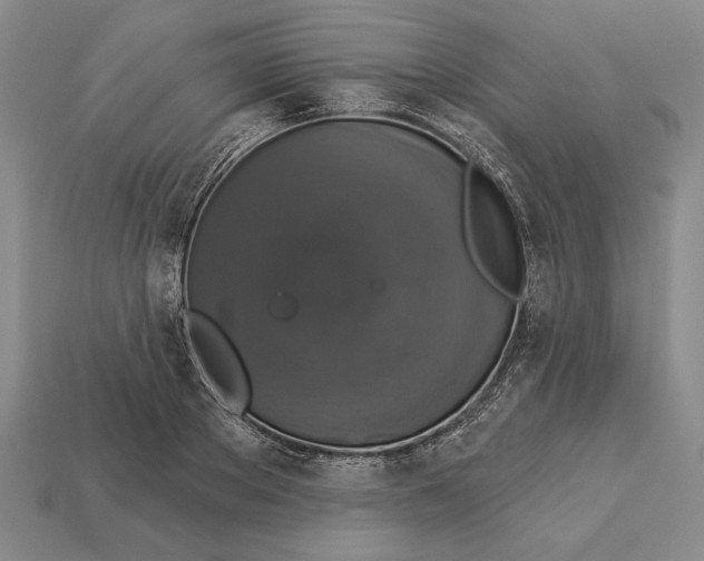 X0000112910889200909211029