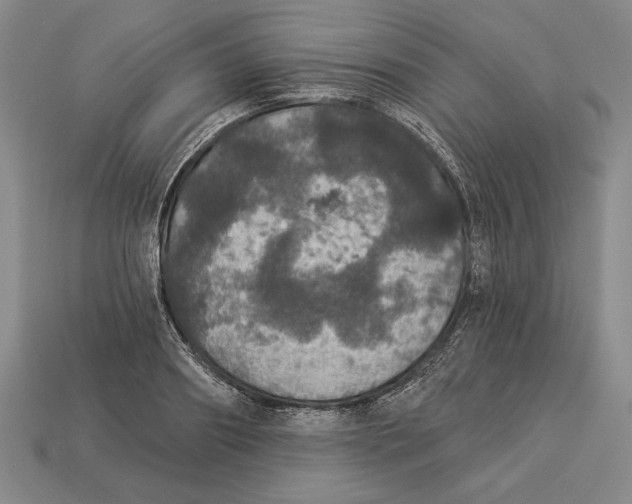 X0000112910890200909211029