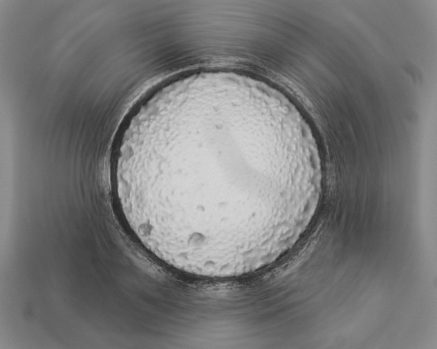 X0000112910891200909211029