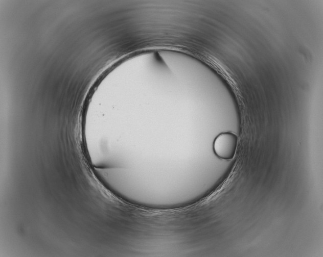X0000112910892200909211029