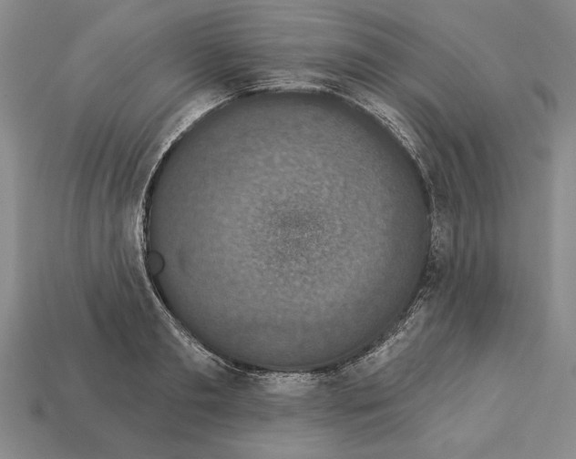 X0000112910893200909211029