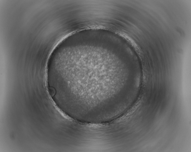 X0000112910894200909211029