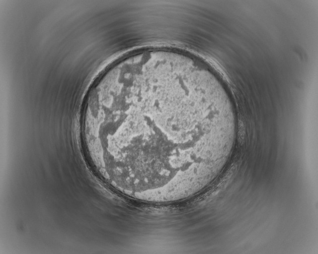 X0000112910895200909211029