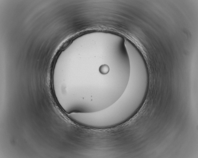 X0000112910896200909211029