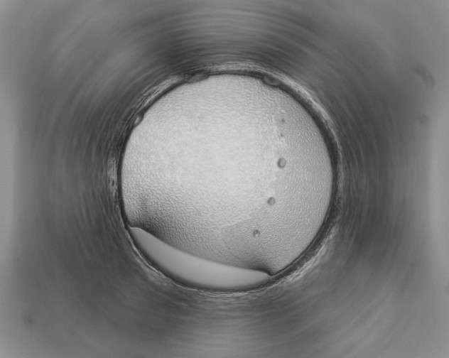 X0000112910897200909211029