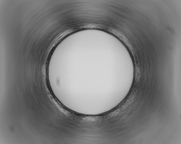 X0000112910898200909211029