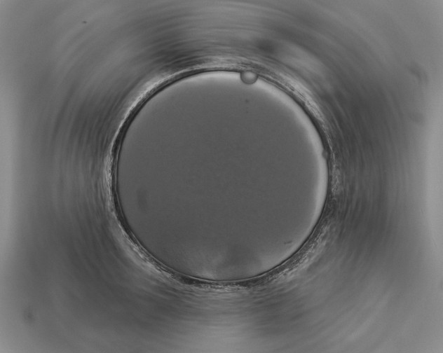 X0000112910899200909211029