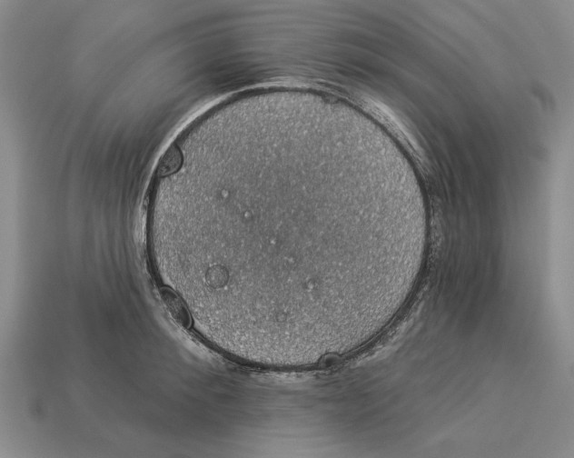 X0000112910900200909211029