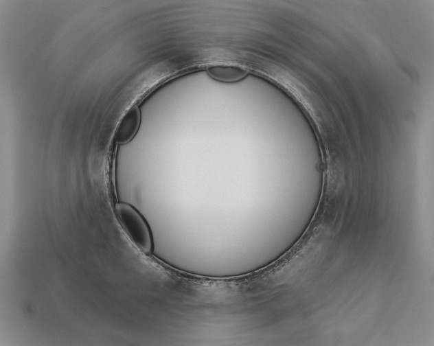 X0000112910901200909211029