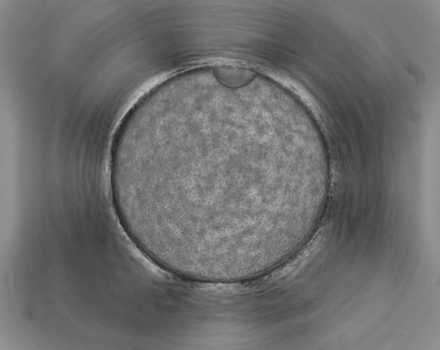 X0000112910902200909211029