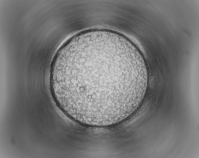 X0000112910903200909211029