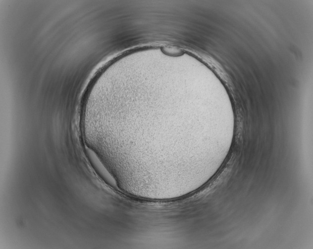 X0000112910904200909211028