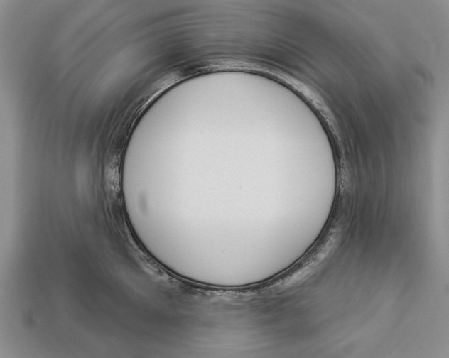 X0000112910905200909211028