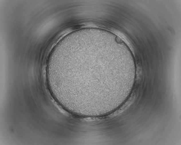 X0000112910906200909211028