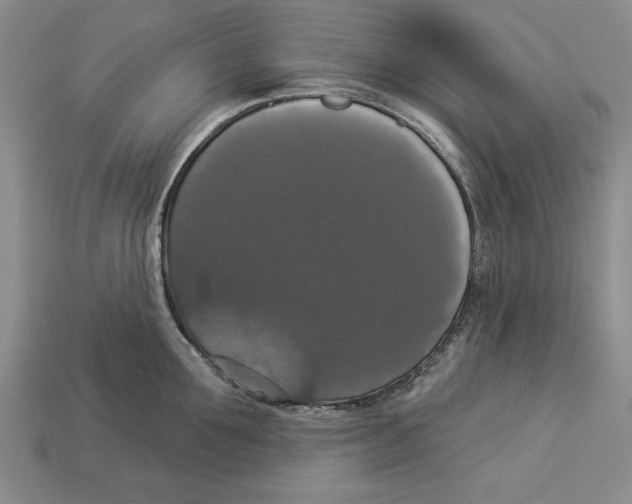 X0000112910907200909211028