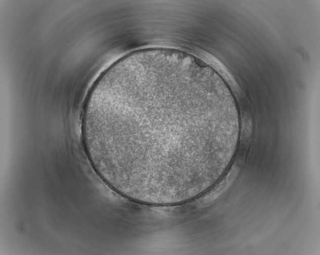 X0000112910908200909211028