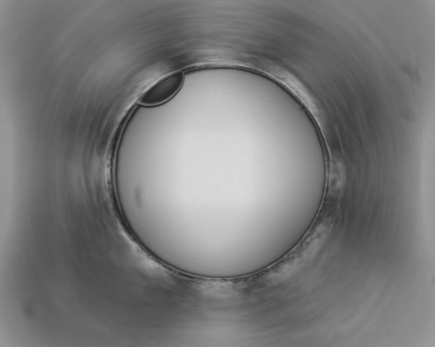 X0000112910909200909211028