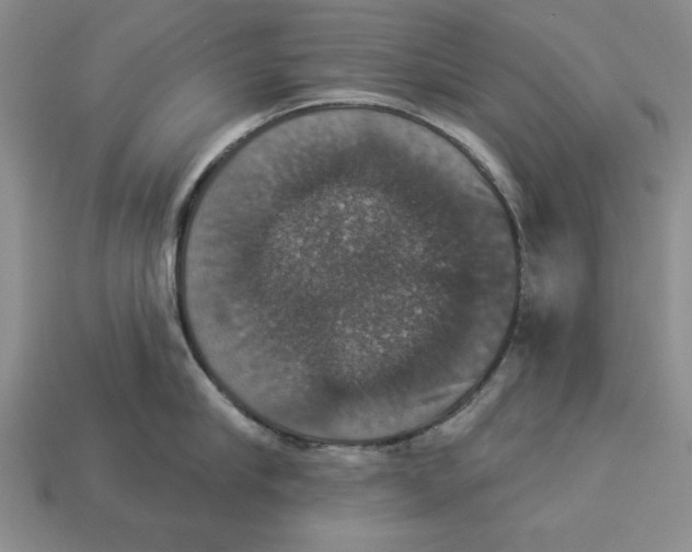 X0000112910910200909211028