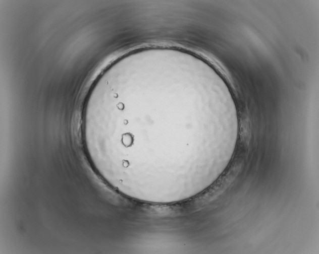 X0000112910911200909211028