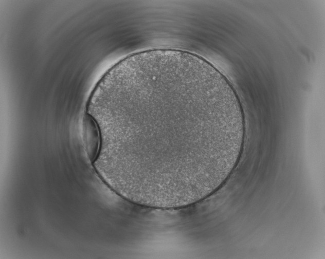 X0000112910912200909211028