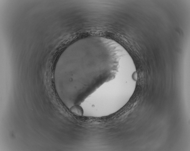 X0000112910913200909211028