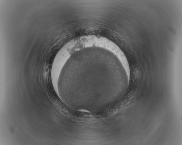 X0000112910914200909211028