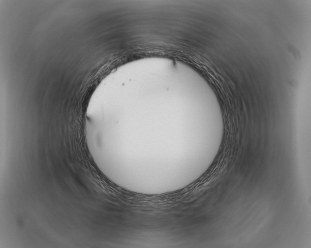 X0000112910916200909211028